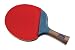 Halex 2.0 Pro Series Silver Typhoon Table Tennis Paddle