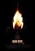 Slow Burn - Movie Poster - 11 x 17