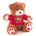 KJB Security C1250C Teddy Bear Camera Color Hardwired