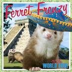 Ferret Frenzy 2010 Wall Calendar