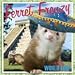 Ferret Frenzy 2010 Wall Calendar