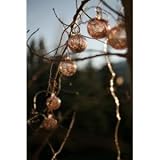 Aurora Glow Solar Glass String Lights - Purple Anemone