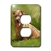 Dogs Norfolk Terrier - Norfolk Terrier - Light Switch Covers - 2 plug outlet cover