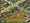 Zoo Tycoon Triple Pack: Includes Zoo Tycoon, Dino Digs and Marina Mania (PC CD)