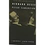 Peter Camenzind (Peter Owen Modern Classics)