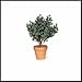 26 Inch Outdoor UV Rated Artificial Dark Boxwood Bush