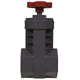 Buy King Brothers Inc. GVP-2000-S 2-Inch Slip PVC Schedule 40 Gate Valve, White by King Brothers Inc.