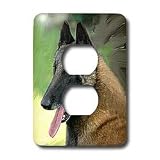 Dogs Belgian Malinois - Belgian Malinois Portrait - Light Switch Covers - 2 plug outlet cover