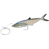 12" Live Spanish Mackeral Rigged 10/0 Hook 300lb mono 1per pk Natural - Williamson Lures LSMKR12NT, Fishing Lures & Lure Kits