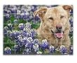 Custom Photo Puzzle - Glossy Wooden Toddler Puzzle Created from Your Favorite Photo - 10" x 14" - 30 Pieces