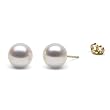 HinsonGayle Gem Collection Handpicked AAA 8.5-9.0mm White Cultured Pearl Stud Earrings (14K Yellow Gold)