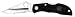 Spyderco Ladybug Knife with 2" Locking Blade (0.5oz)