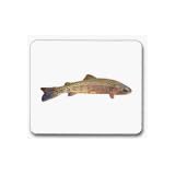 FishVocabularyCards