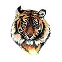 TIGER PORTRAIT Temporary Tattoo 2x2