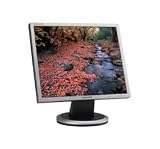 Electronics : Samsung SM740N 17 inch SXGA TFT LCD Monitor 600:1 300cd/m2 1280 x 1024 8ms (Silver/Black) - Simple or Height Adjustable