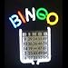 Neon Bingo Sign