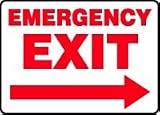 EMERGENCY EXIT (ARROW RIGHT) 10