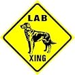 LAB CROSSING sign * retriever hunt dog pet