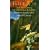 The Shaping of Middle-Earth: The History of Middle-Earth 4