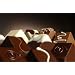 Belgian Dark Chocolate Truffle Assortment by Telluride Truffle. Note: Please choose expedited shipping to warmer states (above 75 degrees)