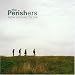 Albums You've Unfortunately Probably Never Heard Of