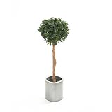 Review i-koncepts Ltd  / 6ft Single Ball Bayleaf Topiary with Natural Stem - Artificial Plant