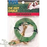 Coastal Pet Titan Tie Out Cable for Puppies (Green, 12 ft.)