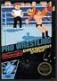 Pro Wrestling
