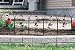 Vineyard Triple Arch Edging - Hammertone Green