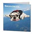 Skydiving Bulldog "Awesome" Birthday Card
