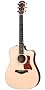 TAYLOR GUITARS 210CE DREADNOUGHT SALE