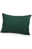 Throw Pillow 15hx19w Forest Green Sn