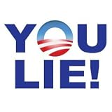 You Lie! Joe Wilson anti obama bumper sticker magnet