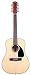 Fender CD-100-12 Dreadnought Acoustic 12 String Guitar, Natural
