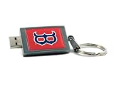 Boston Red Sox DataStick Keychain 4 GB USB 2.0 Flash Drive DSK4GB-BOSV2