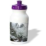 Lee Hiller Photography Hot Springs National Trails - Hot Springs Mountain Trail Snowy Bushes - Water Bottles