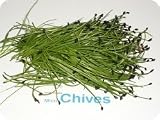 Micro Greens - Chives - 4 x 8 oz