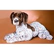 Marlena Pointer  Plush Dog 26"