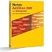 Norton Antivirus 2009 10-User