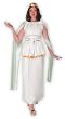 Athena Greek or Roman Goddess Costume - Womens Size 12-14