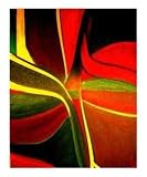 Relaxation Art Photographic Poster Print by Ruth Palmer, 16x20