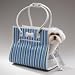 East Side Collection Beach Stripe Carriers