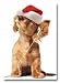 Long Haired "Doxie" Dachshund Puppy Dog Wearing Santa Hat & Ipod Dozen 12 Christmas Holiday Greeting Cards