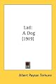 Lad: A Dog