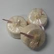 Wildflower Soaps Berry Nice Fizzie (3 Pack)