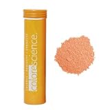 Colorescience Bronzer Brush SPF 20 Refill: In The Wild