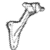BRTBRS Handrail Bracket