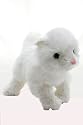 KooKeys Persian Cat