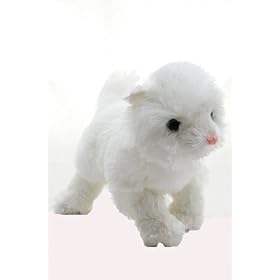 KooKeys Persian Cat by KooKeys
