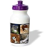 Sandy Mertens Colorado - Canyons of the Rocky Region Collage - Water Bottles